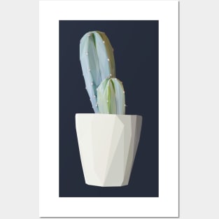 Geometrical Double Barrel Cactus Posters and Art